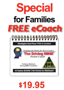 The Driving MIND Pocket Coach - Free eBook